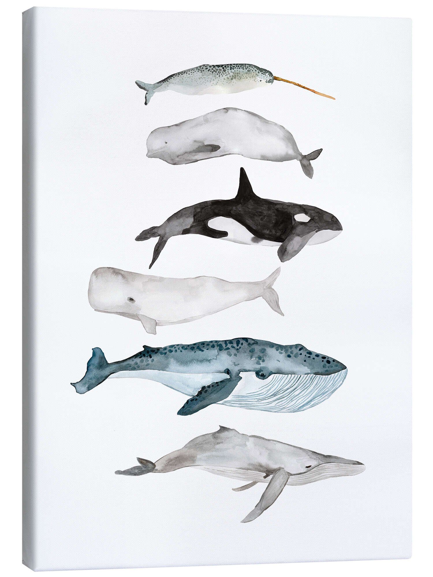 Posterlounge Wandbild Leben im Meer, Wale, Mantika Studio, erhältlich als Poster, Leinwandbild, Wandsticker oder Acrylglasbild