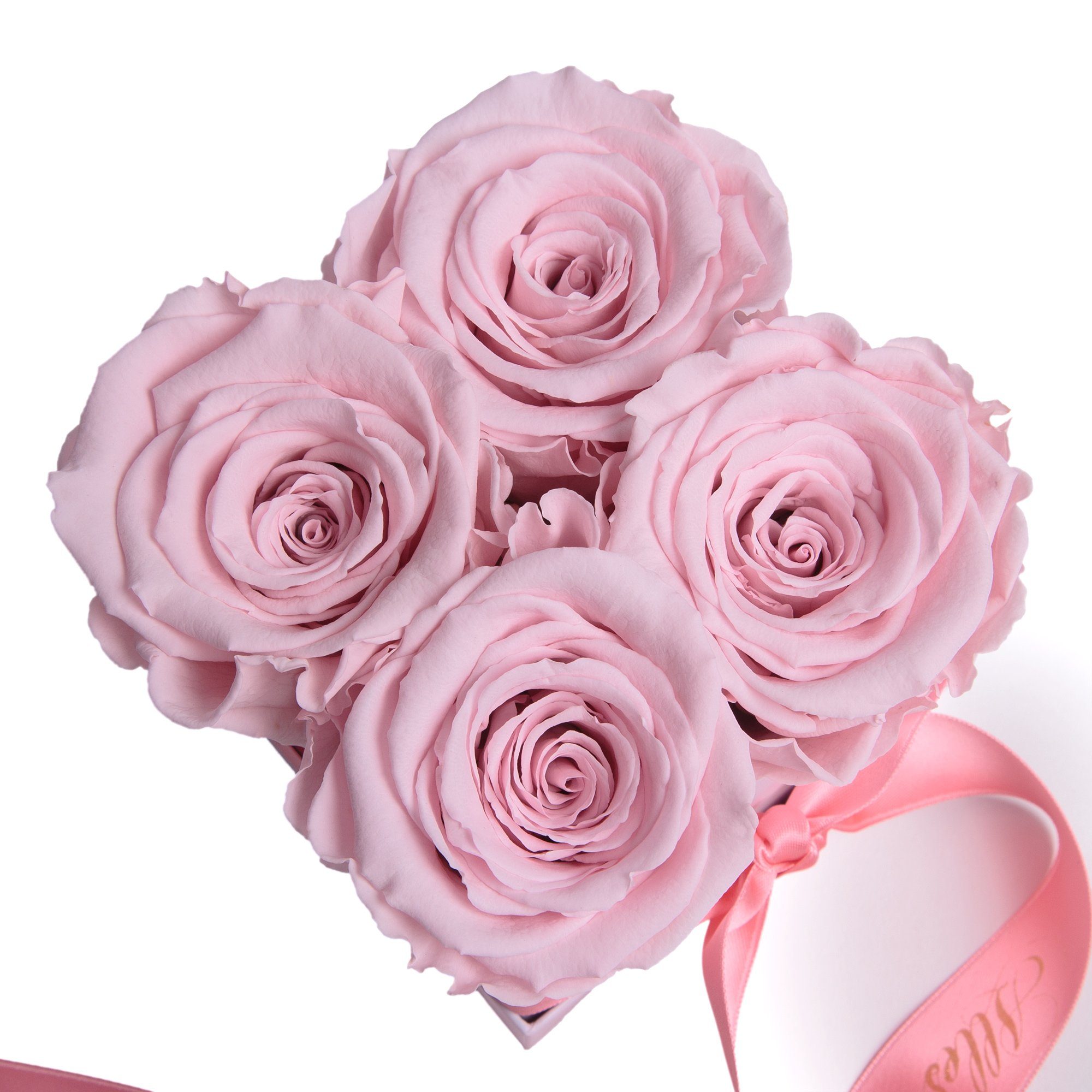 ROSEMARIE SCHULZ Heidelberg Echte Liebe Infinity Geschenk, Rosenbox zum Geburtstag Blumen Dekoobjekt 3 haltbar bis Jahre zu rosa Rose Alles
