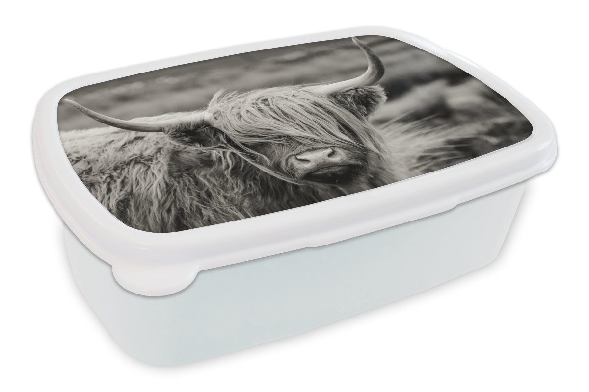 MuchoWow Lunchbox Schottischer Highlander - Kuh - Tiere - Schwarz-Weiß - Ländlich, Kunststoff, (2-tlg), Brotbox für Kinder und Erwachsene, Brotdose, für Jungs und Mädchen