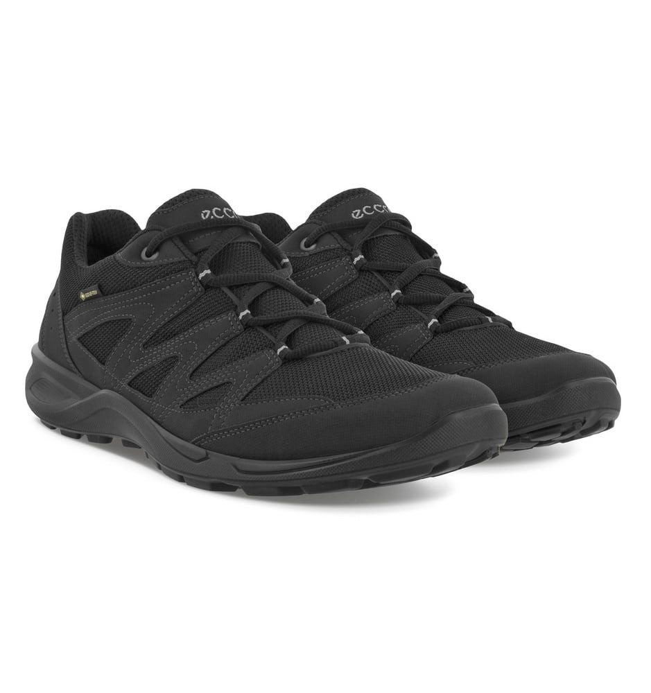 Ecco Wanderschuhe Terracruise LT Low GTX günstig online kaufen