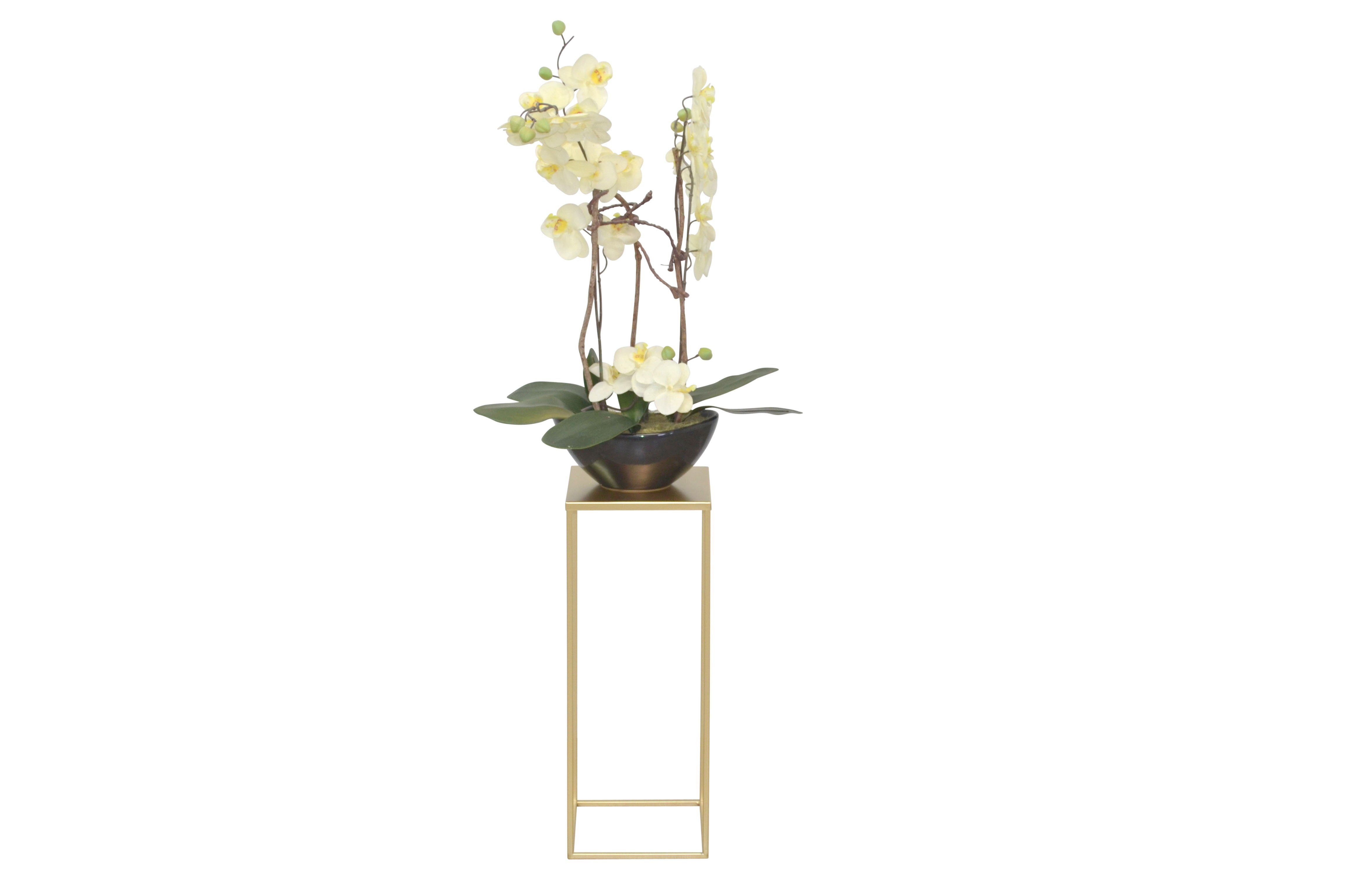 moebel-direkt-online Blumentisch Iris (In drei Farben lieferbar, In drei Höhen lieferbar), aus Metall