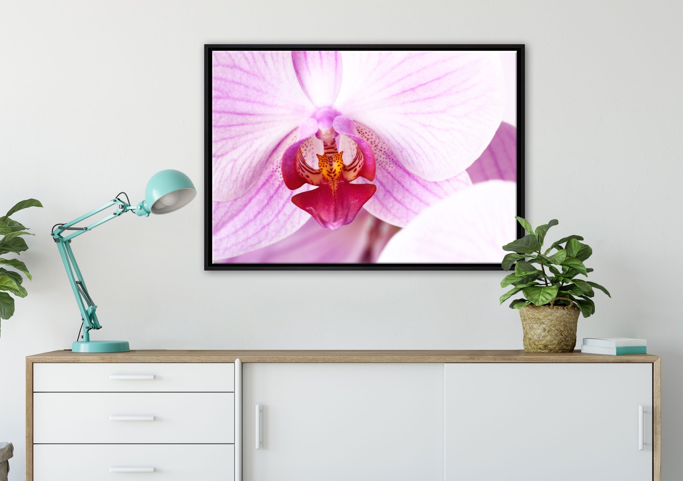 Rosa in inkl. bespannt, St), Leinwandbild Wanddekoration einem Leinwandbild Zackenaufhänger gefasst, (1 Pixxprint fertig Schattenfugen-Bilderrahmen Prächtige Orchidee,