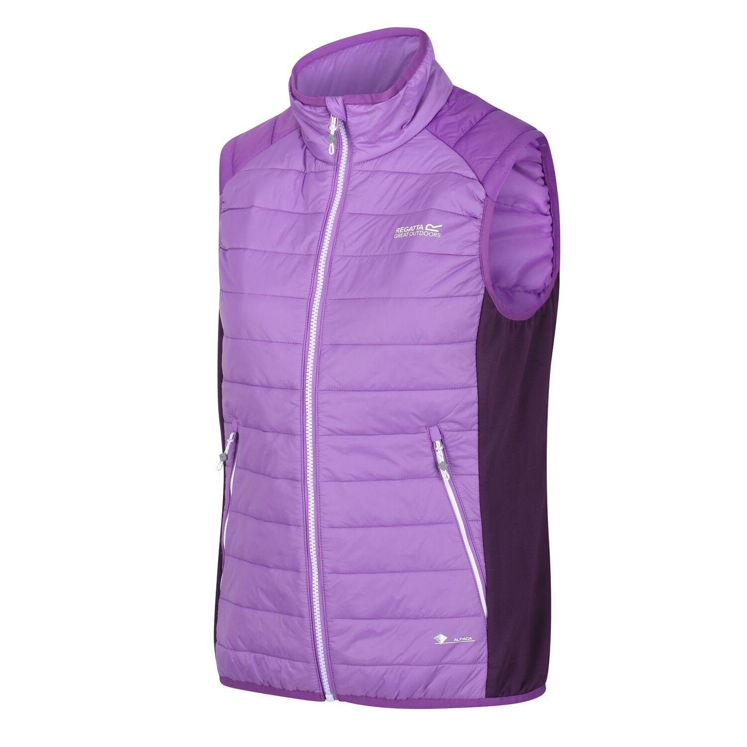 Regatta Softshellweste Hybrid Weste Halton günstig online kaufen
