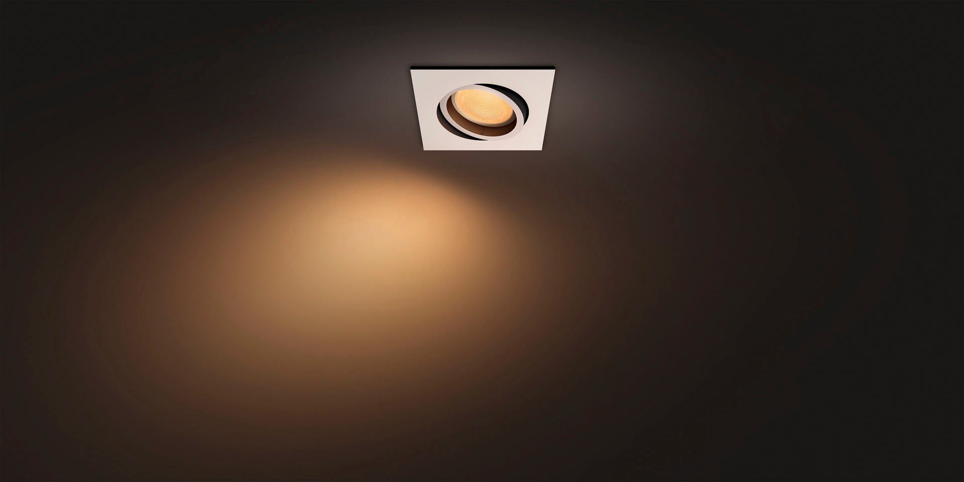 wechselbar, Hue Flutlichtstrahler Leuchtmittel Milliskin, Warmweiß Philips Dimmfunktion, LED