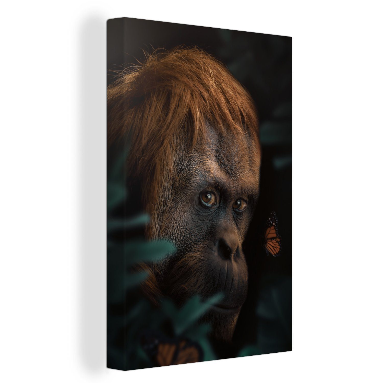 Leinwandbild - OneMillionCanvasses® Zackenaufhänger, cm 20x30 Schmetterling Affe, St), bespannt - fertig Dschungel Gemälde, inkl. (1 Leinwandbild