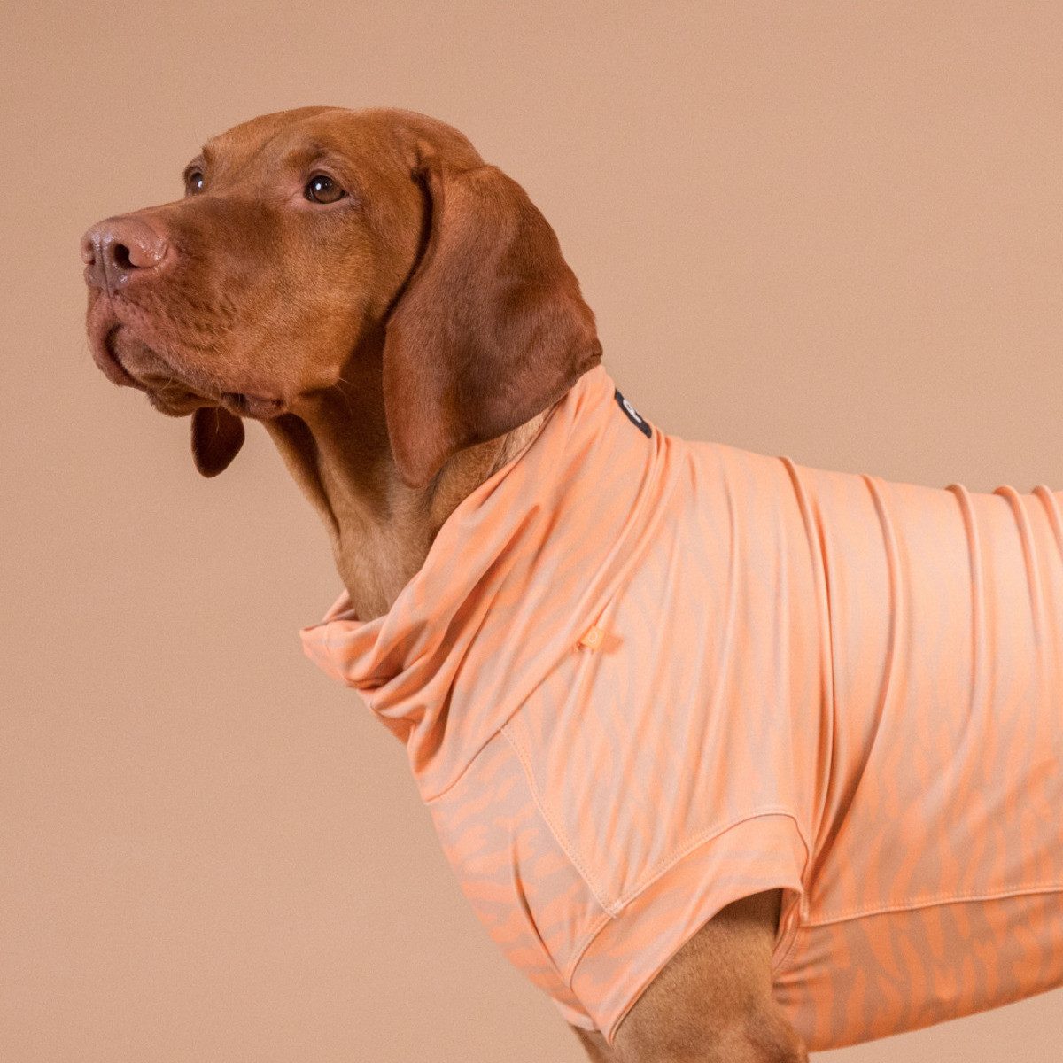 PAIKKA Hundeshirt Hundeshirt Sonnenschutz/Antiparasit "UV & Bug Shirt" pfirsich