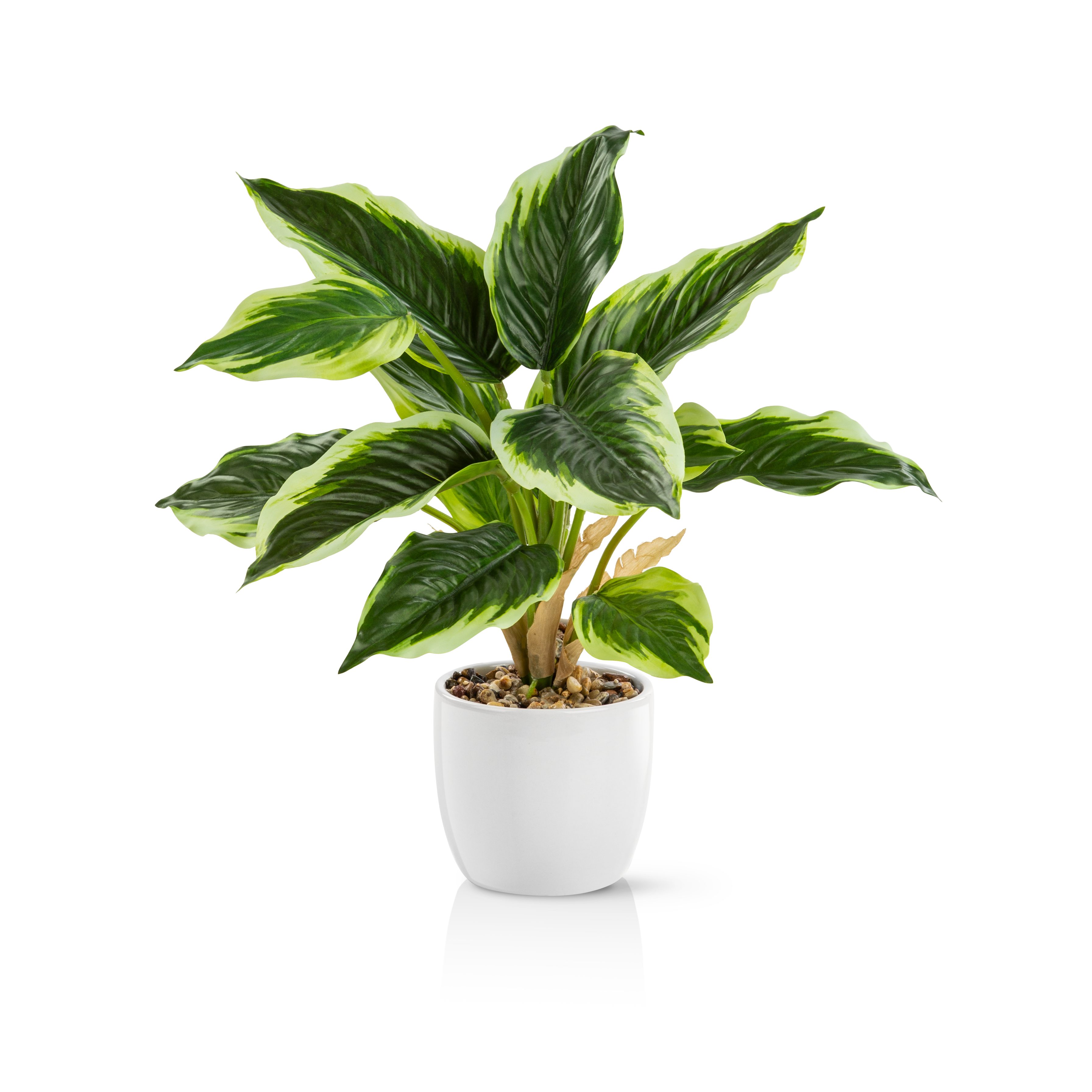 Kunstpflanze Tropische Kunstpflanzen wie echt in weißen Keramiktöpfen, Kunstpflanze Tropische Kunstpflanzen (u.a. Monstera & Areca Palmen), PASCH, Höhe 25 cm