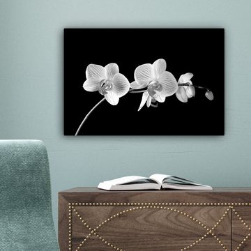 OneMillionCanvasses® Leinwandbild Orchidee - Blumen - Schwarz - Rosa - Knöpfe, (1 St), Wandbild Leinwandbilder, Aufhängefertig, Wanddeko, 30x20 cm