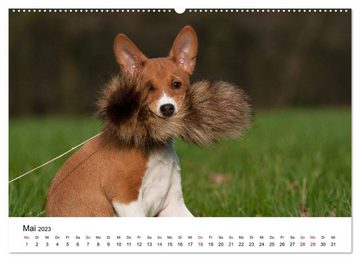 CALVENDO Wandkalender Süße Basenji-Kinder (Premium, hochwertiger DIN A2 Wandkalender 2023, Kunstdruck in Hochglanz)