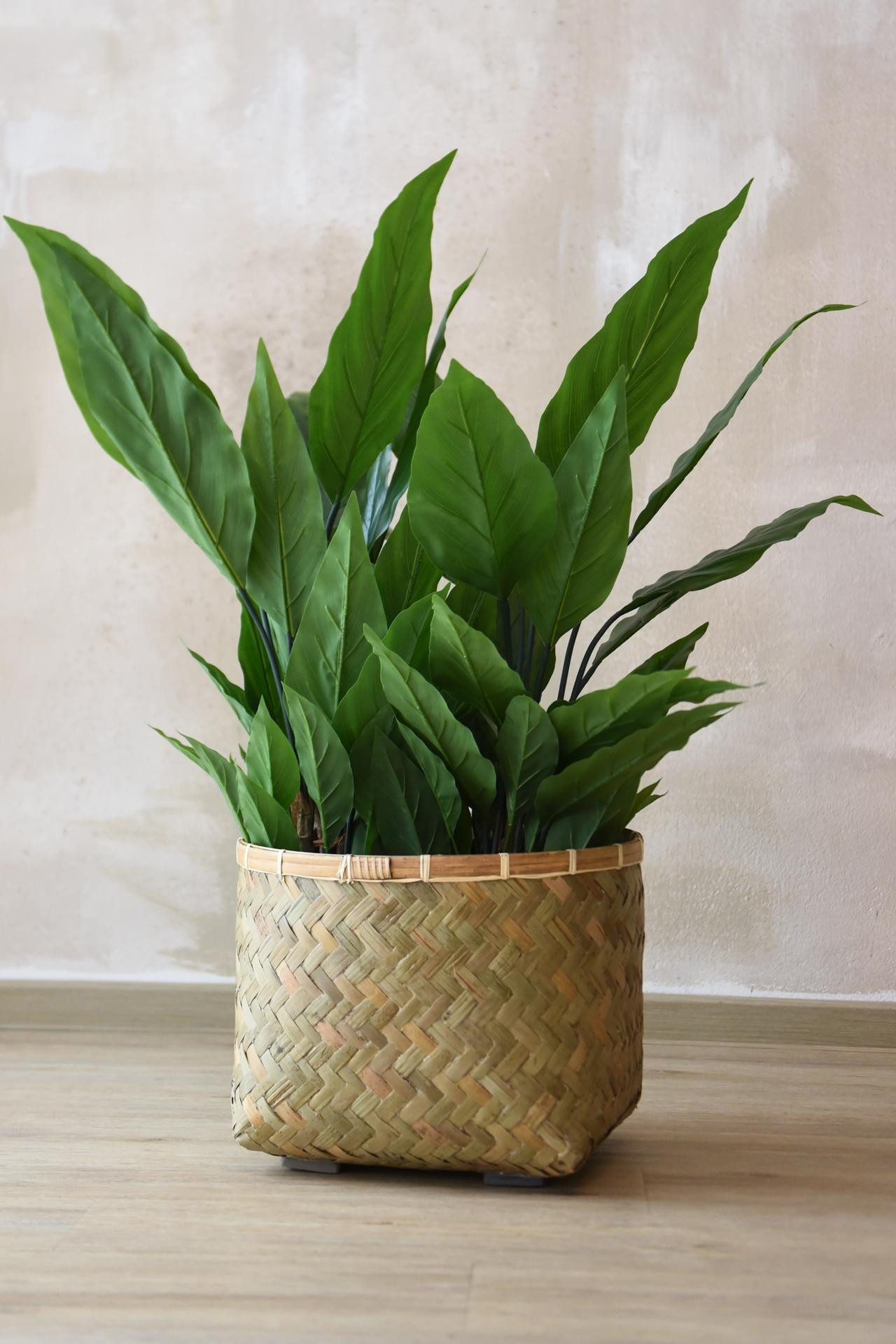 VIVANNO Blumentopf Bambus CISTELLA Rund - Natur Geflochten (1 St), 37x29 cm