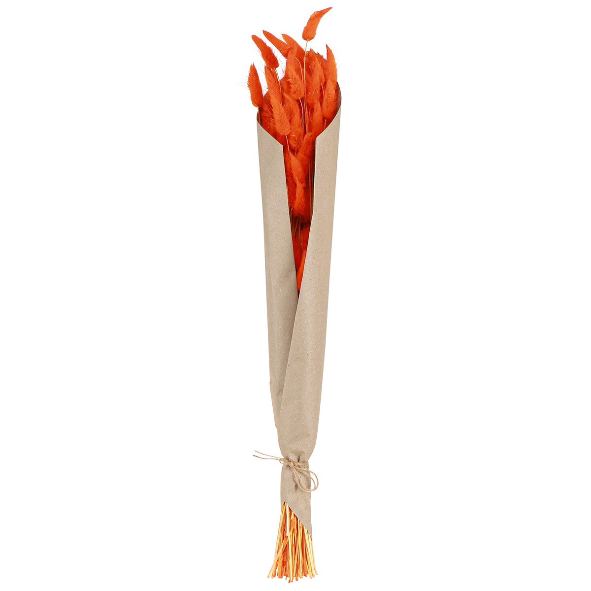 Trockenblume Lagurus Trockenblumen Deko Samtgras für Floristik und, Viana, Höhe 20 cm