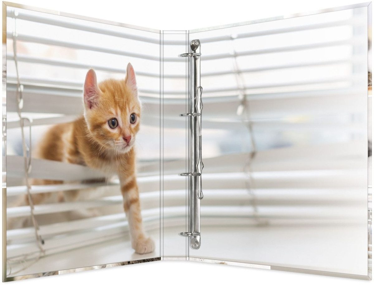 HERMA Präsentationsordner Ringbuch A4 Karton 4 Ringe Katzen