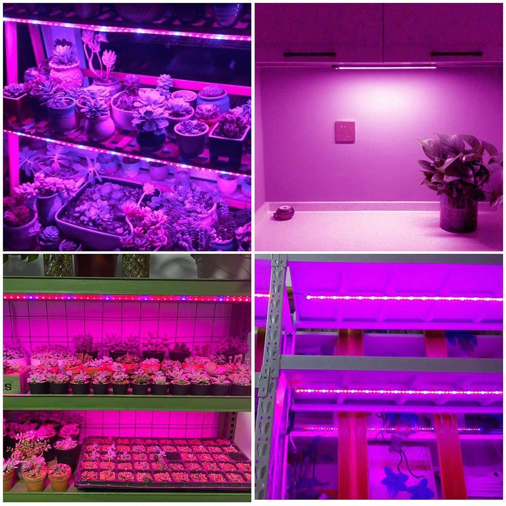 Rot-Blau Fruchtbildung Sämlinge Blüte Lichtleisten Pflanzenlampe Vollspektrum, USB und Indoor-Pflanzen, mit 3 Rosnek Dimmbar, Timer, LED-Wachstumslicht-Streifen, EU-Stecker, Rot&Blau, für