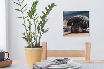 OneMillionCanvasses® Leinwandbild Niedlicher Rottweiler-Welpe liegt auf dem Boden, (1 St), Leinwand Bilder für Wohnzimmer Schlafzimmer