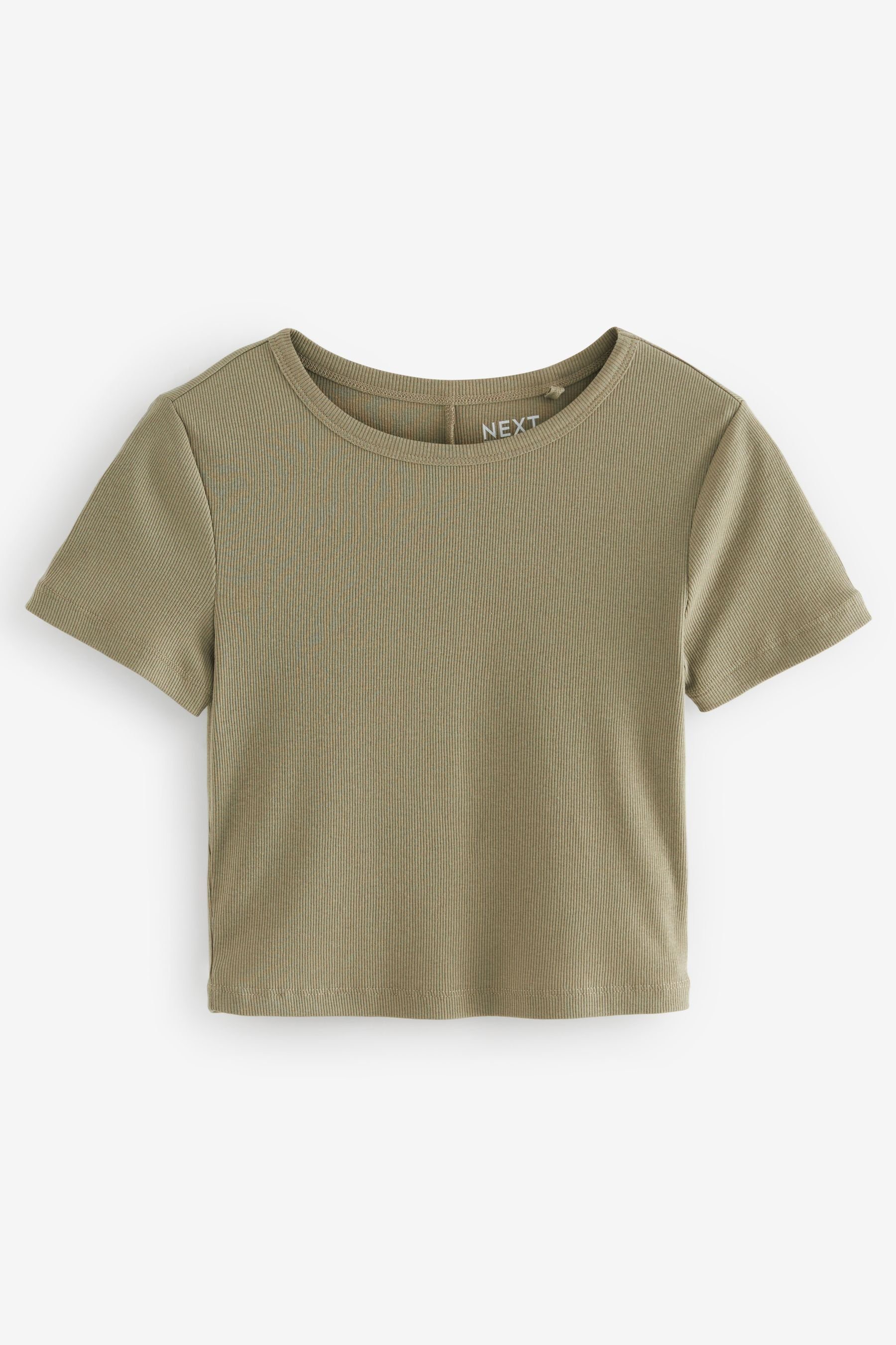 Next T-Shirt Geripptes T-Shirt mit Rundhalsausschnitt Slim Fit (1-tlg)