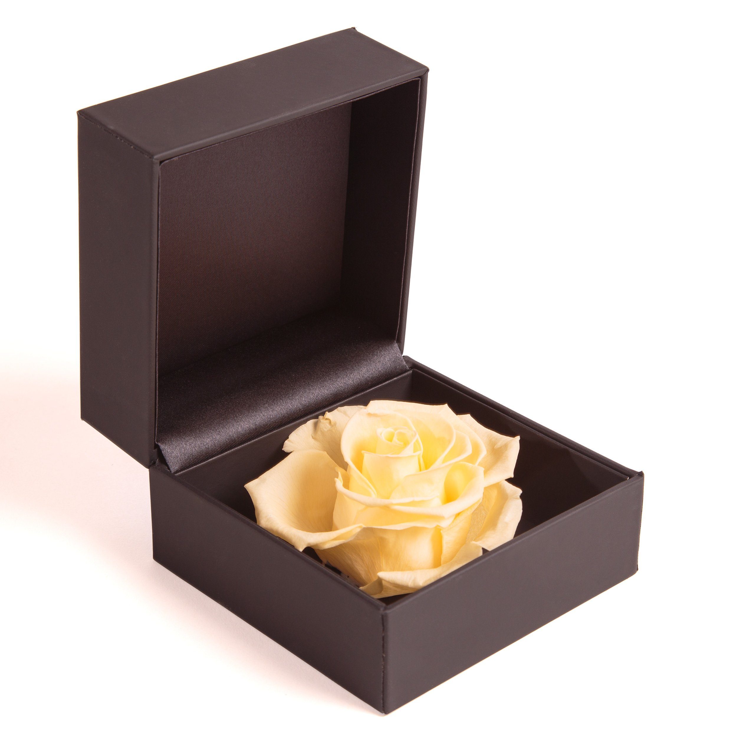 Kunstblume Rosenbox Ringbox Groß Infinity Rose konserviert in Box Ringdose Rose, ROSEMARIE SCHULZ Heidelberg, Höhe 9 cm, Langlebige Rose Champagner