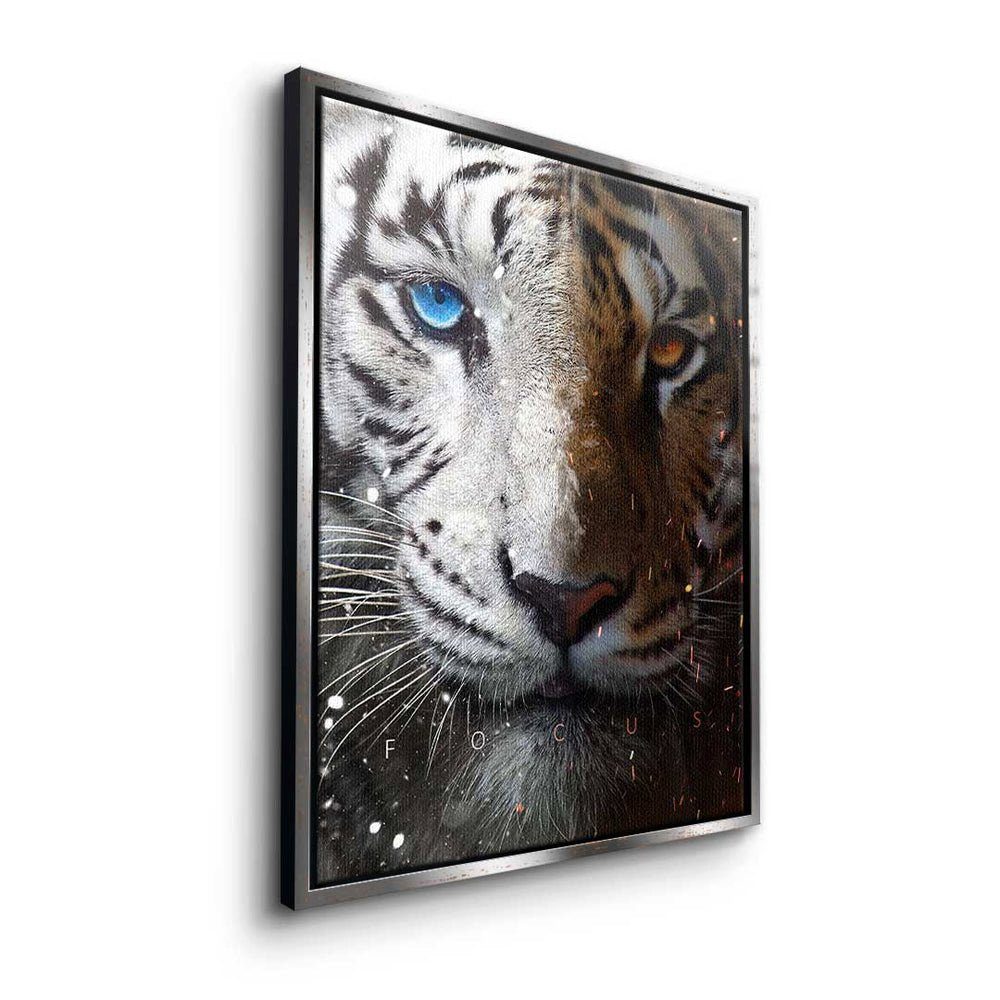 Tiger Face Leinwandbild, Rahmen Focus Rahmen Leinwandbild weißer DOTCOMCANVAS® mit premium