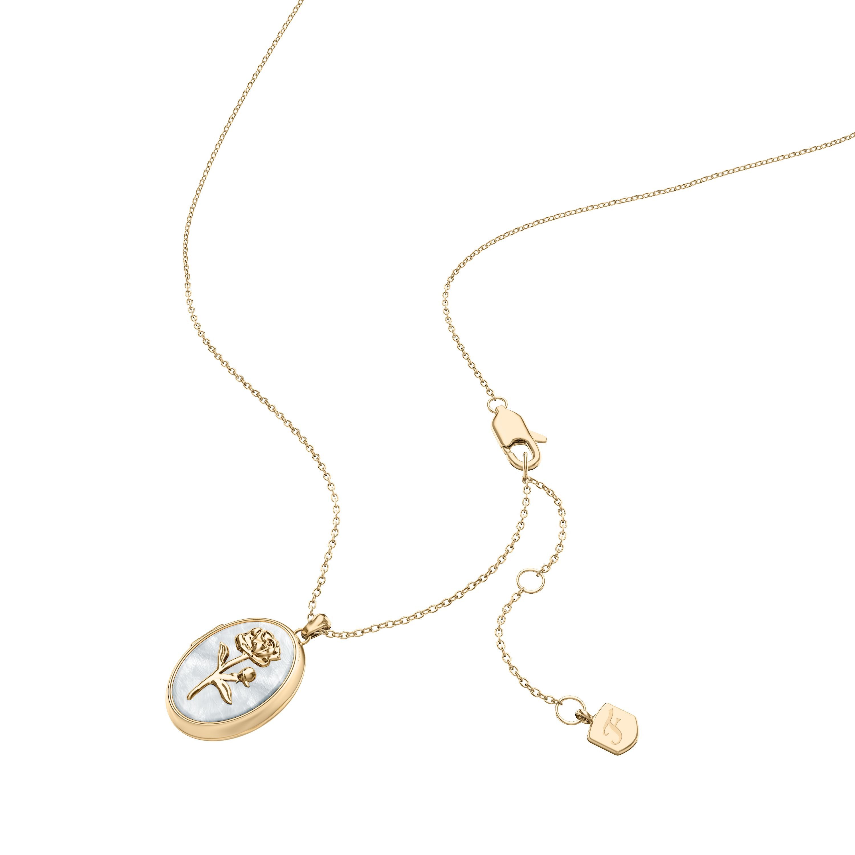 Fossil Kette mit Anhänger Schmuck Geschenk Edelstahl Medaillon zum Öffnen Blume Sutton, mit Perlmutt