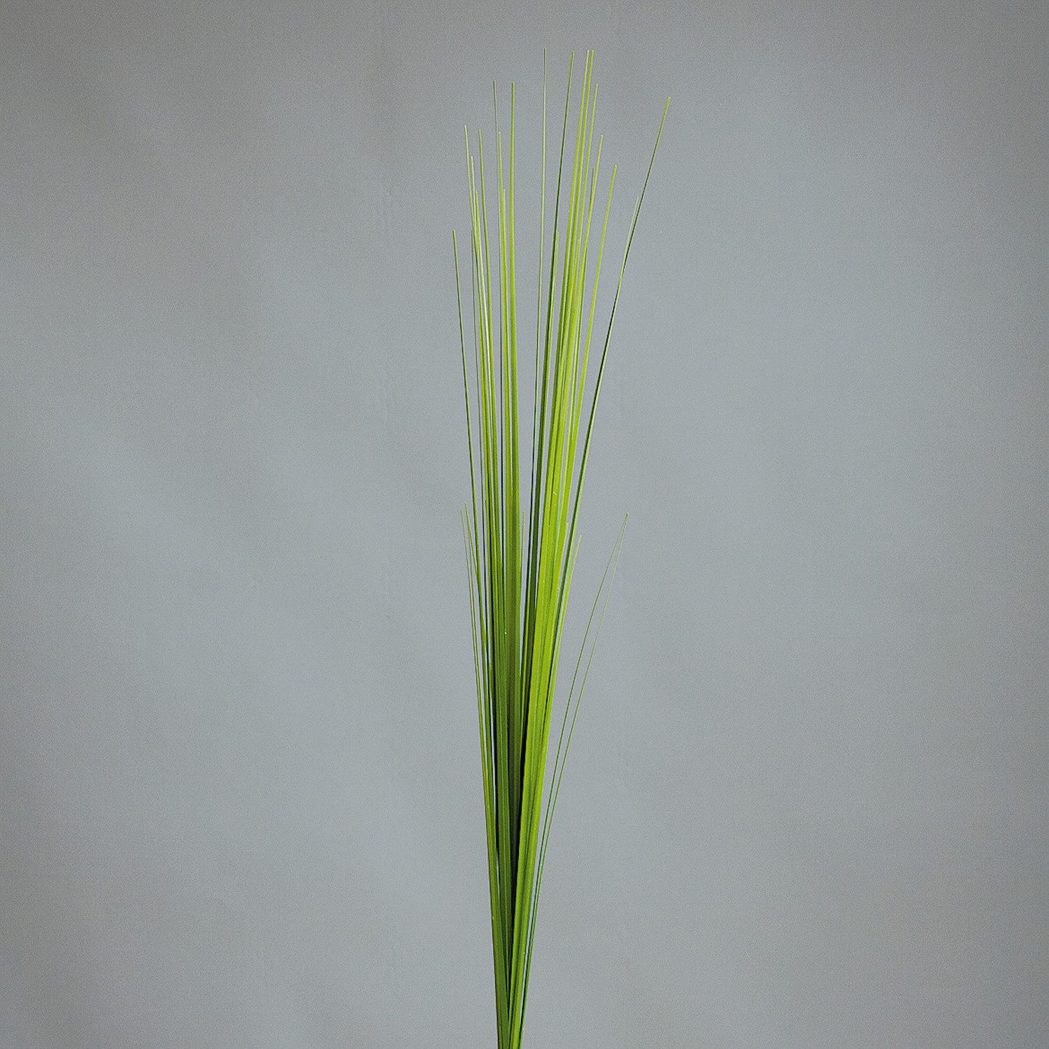 Kunstblume Gräser, DPI, Höhe 85 cm günstig online kaufen