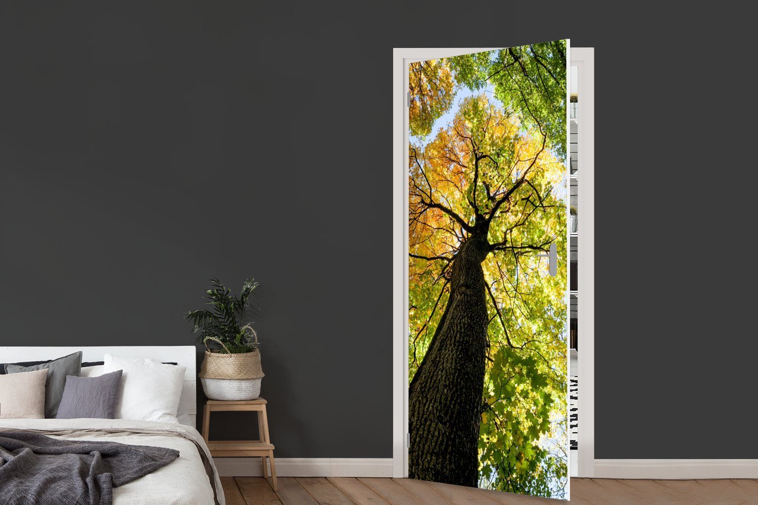 Türaufkleber, Türtapete Baum - MuchoWow Fototapete Matt, - cm St), 75x205 (1 für Wald, Natur Tür, bedruckt,