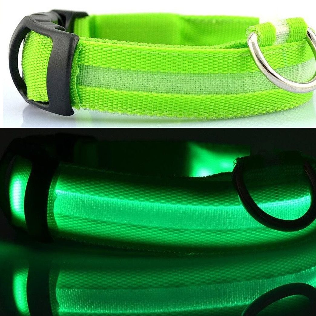 Hundehalsbandleuchte Hundehalsband Leuchthalsband Hund LED USB Aufladbar