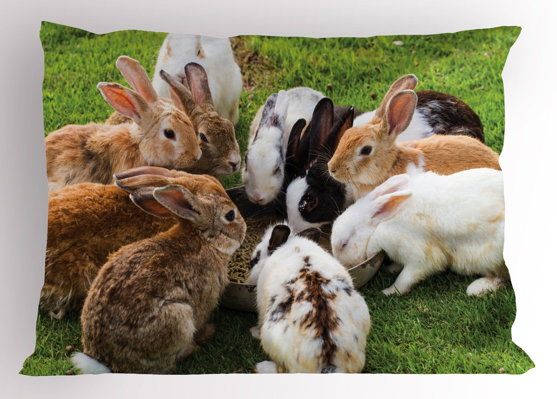 Kopfkissenbezug, Dekorativer Queen Bild einer Stück), Echt (1 Hase Kissenbezüge Abakuhaus Feeding Gedruckter Size Gruppe