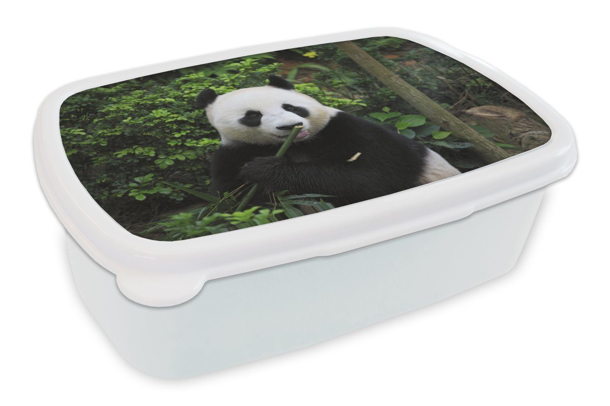 MuchoWow Lunchbox Panda - Bambus - Wald, Kunststoff, (2-tlg), Brotbox für Kinder und Erwachsene, Brotdose, für Jungs und Mädchen weiß