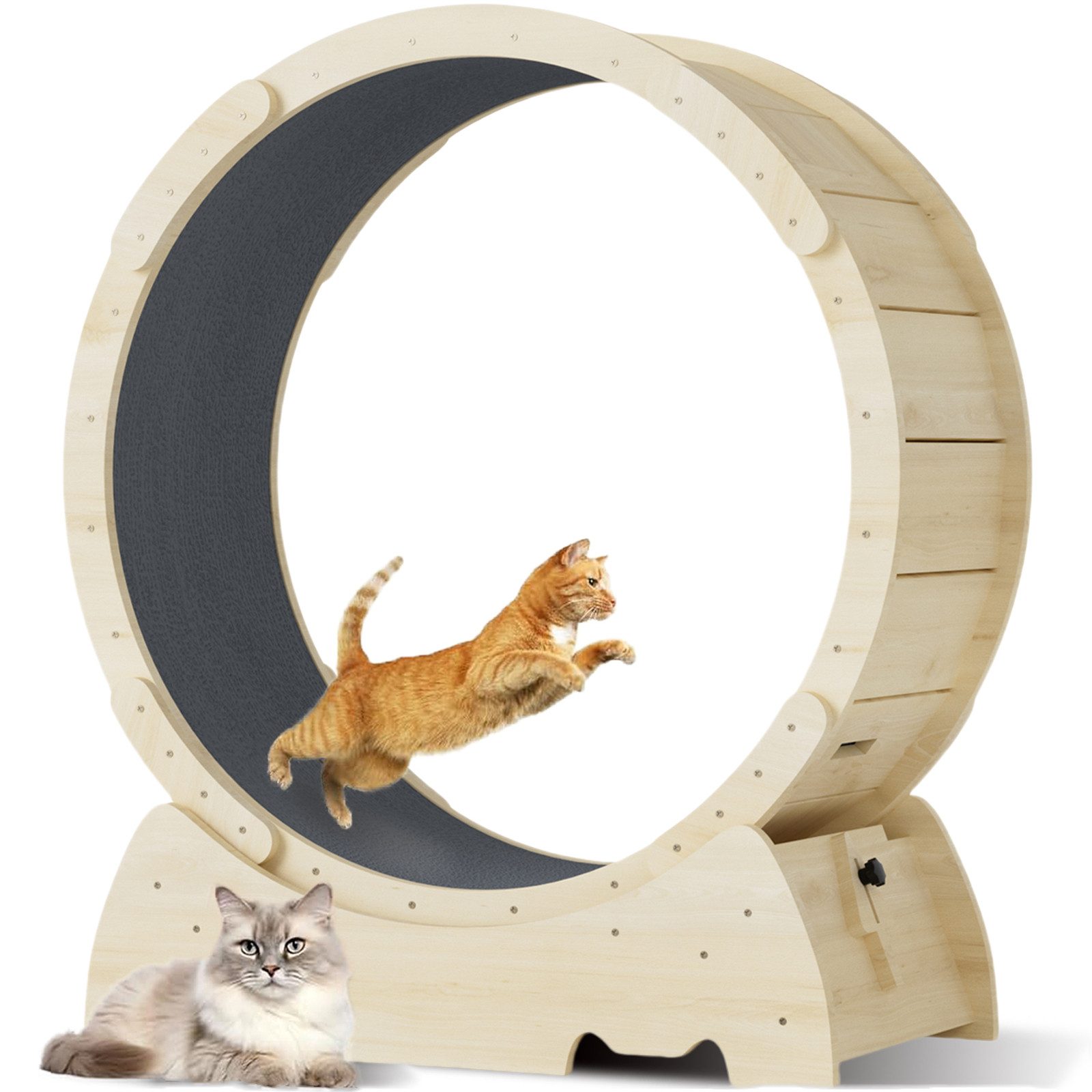 Rhein Beleuchtung Tier-Aktivitätsspiel Katzenlaufrad Durchmesser 93cm Große Katzen Laufband Drinnen, Ultraleises Design mit kratzfesten Katzenpads, Massivholz