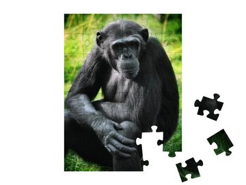 puzzleYOU Puzzle Tierporträt: Schimpansen, 48 Puzzleteile, puzzleYOU-Kollektionen Schimpansen, Tiere in Dschungel & Regenwald