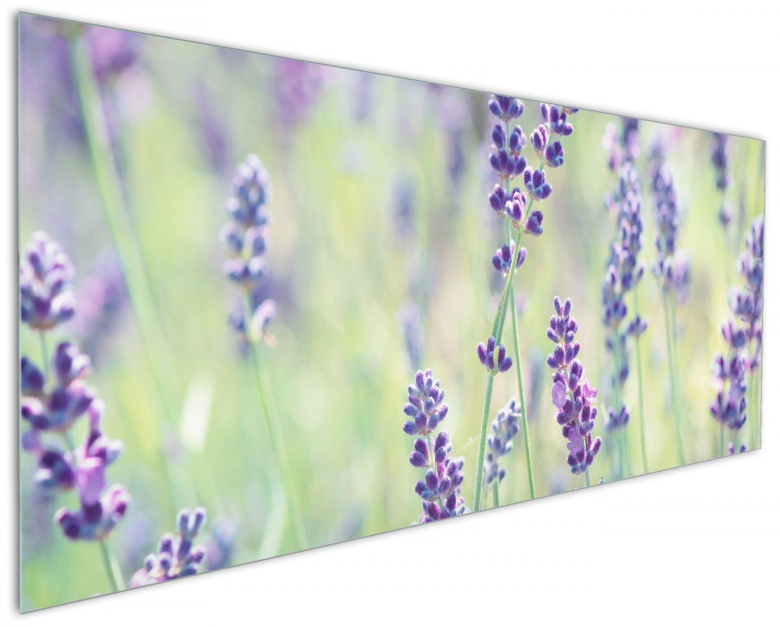Blumenfreude - Violette der Pflanzen Wiese, (1-tlg) auf Wallario Lila Küchenrückwand