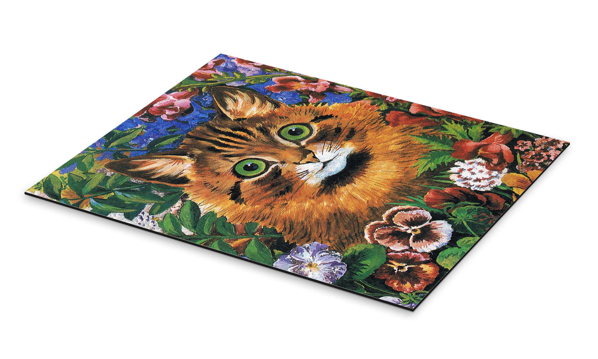 Posterlounge Wandbild Katzenstudie, Louis Wain, erhältlich als Poster, Leinwandbild, Wandsticker oder Acrylglasbild