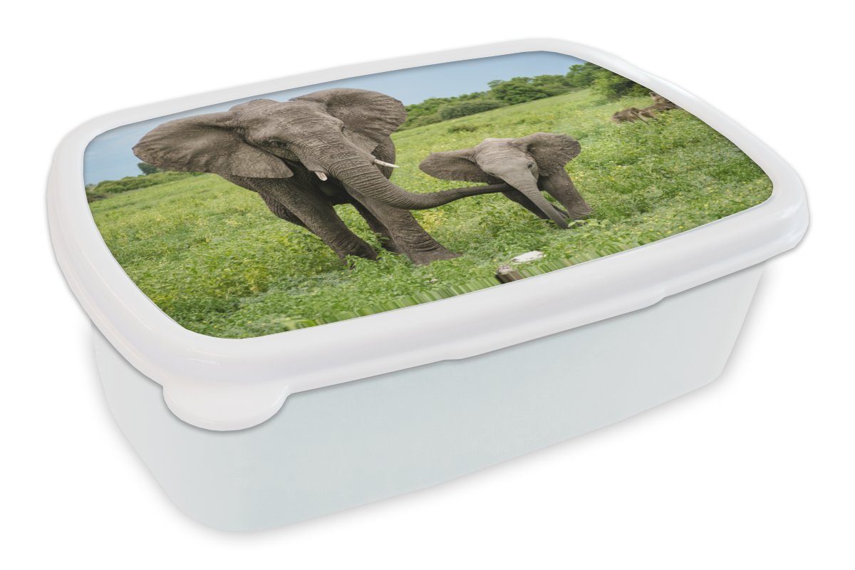 MuchoWow Lunchbox Elefant - Natur - Park, Kunststoff, (2-tlg), Brotbox für Kinder und Erwachsene, Brotdose, für Jungs und Mädchen weiß