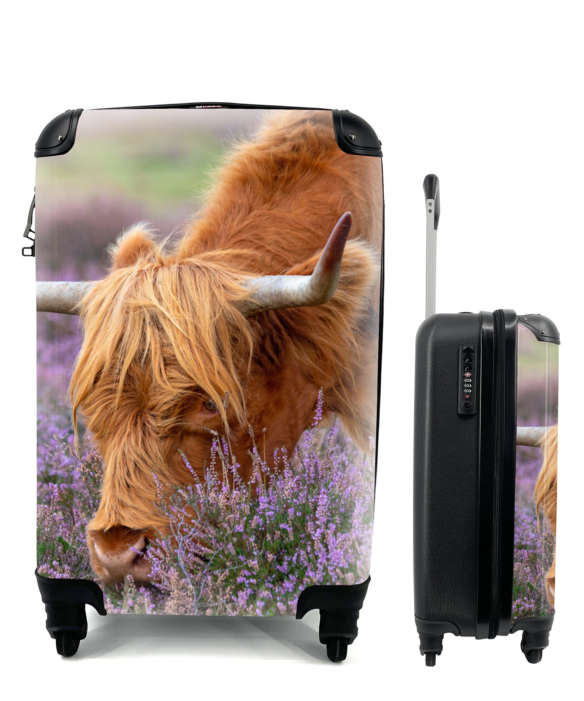 MuchoWow Handgepäckkoffer Schottischer Highlander - Tiere - Heide, 4 Rollen, Reisetasche mit rollen, Handgepäck für Ferien, Trolley, Reisekoffer