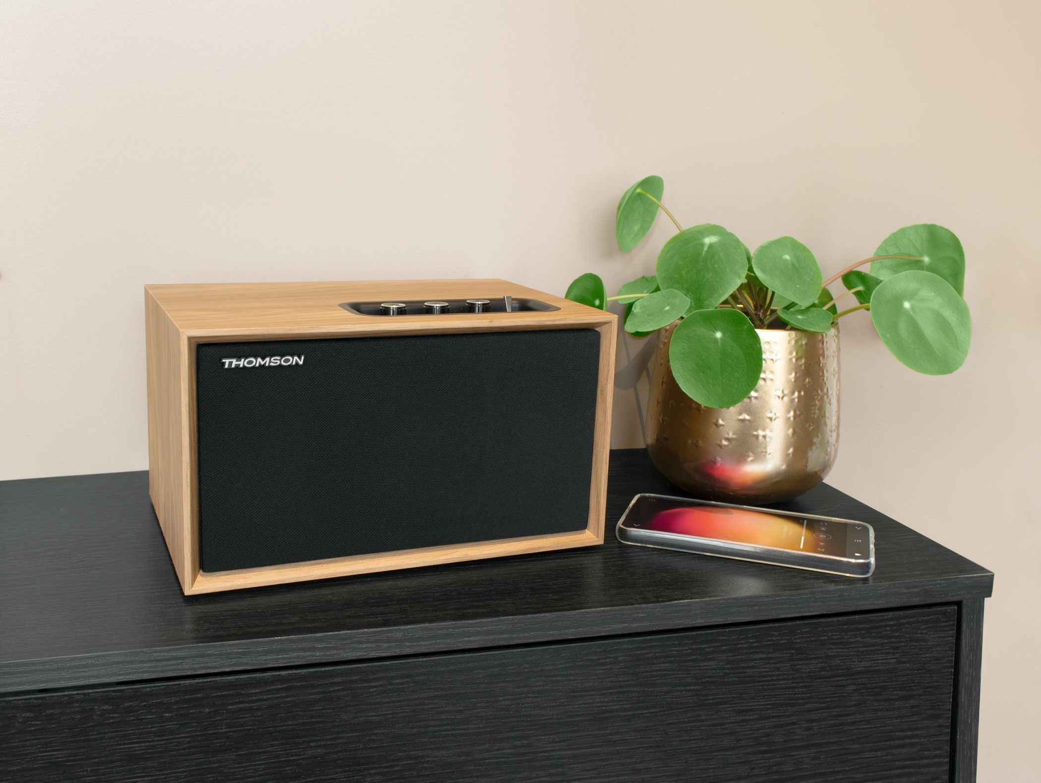 Thomson Bluetooth Lautsprecher Holz WS302 schwarz TH389647 Regal-Lautsprecher
