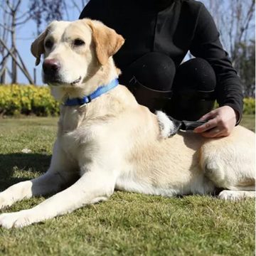 Purlov Fellbürste Haarkamm Tiere, Metall, (Langhaar Hundebürste Katzenbürste, 1-tlg), Hund Unterwollbürste Unterwollkamm