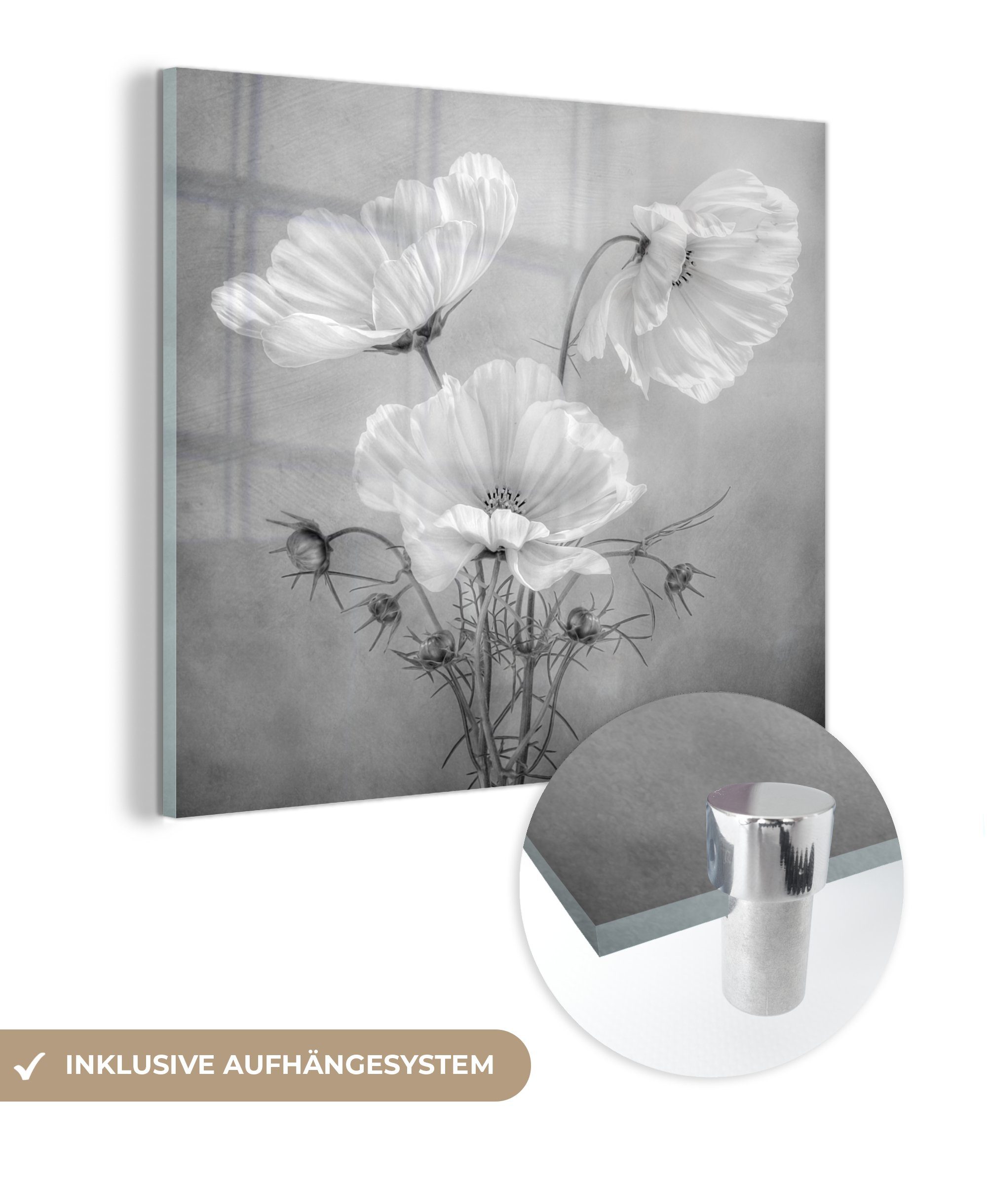 - Schwarz und Glas - Bilder - Botanisch, MuchoWow Stilleben Glas - weiß Wanddekoration auf - - Foto Mohn Glasbilder St), Acrylglasbild Wandbild Blumen (1 - bunt auf