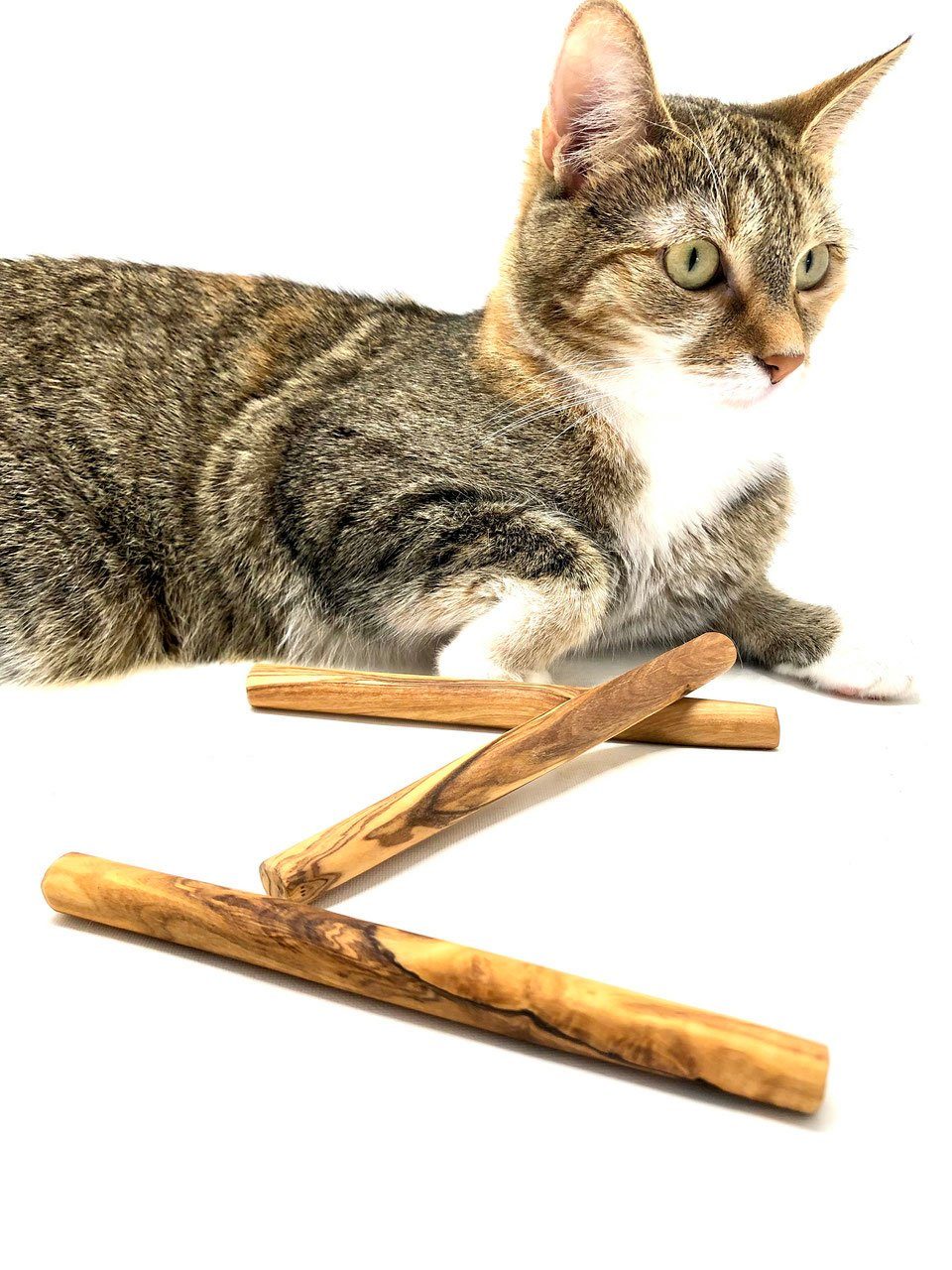 Kauspielzeug Kauknochen für kleine Hunde oder Katzen (3er Set)