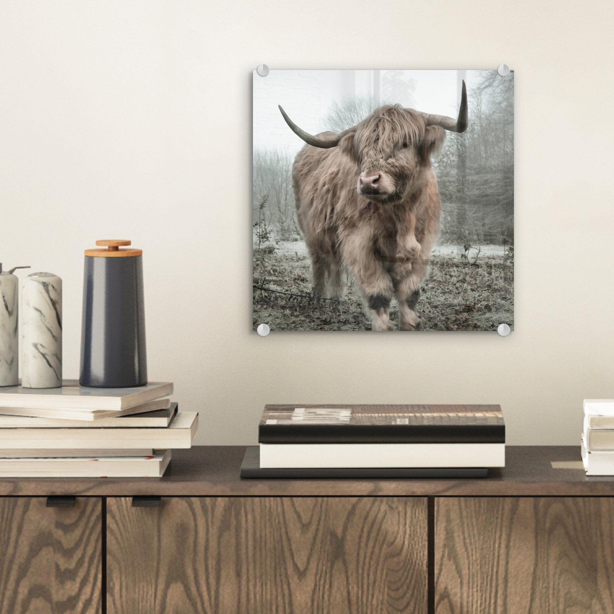 MuchoWow Acrylglasbild Schottische Highlander - Natur günstig online kaufen