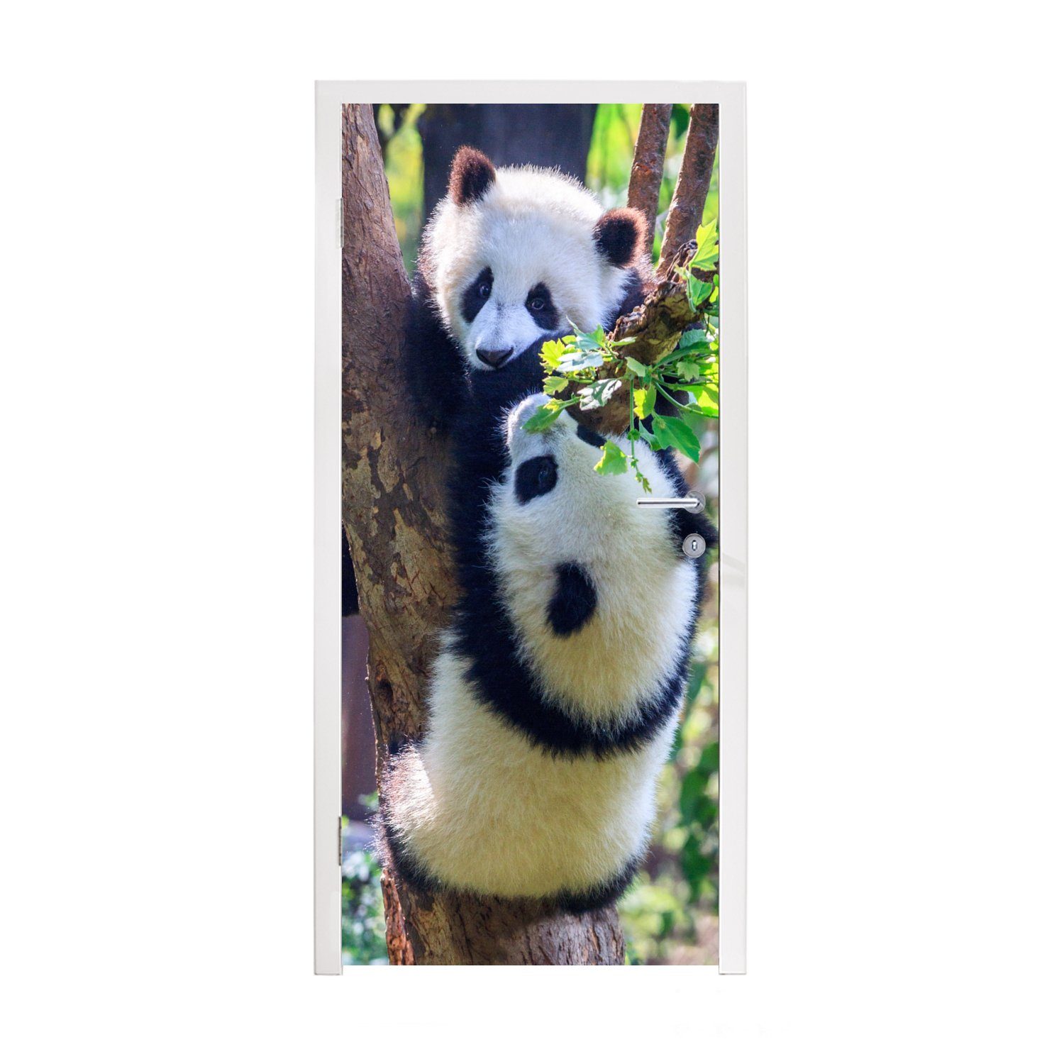 MuchoWow Türtapete Pandas - Baum - Natur, Matt, bedruckt, (1 St), Fototapete für Tür, Türaufkleber, 75x205 cm