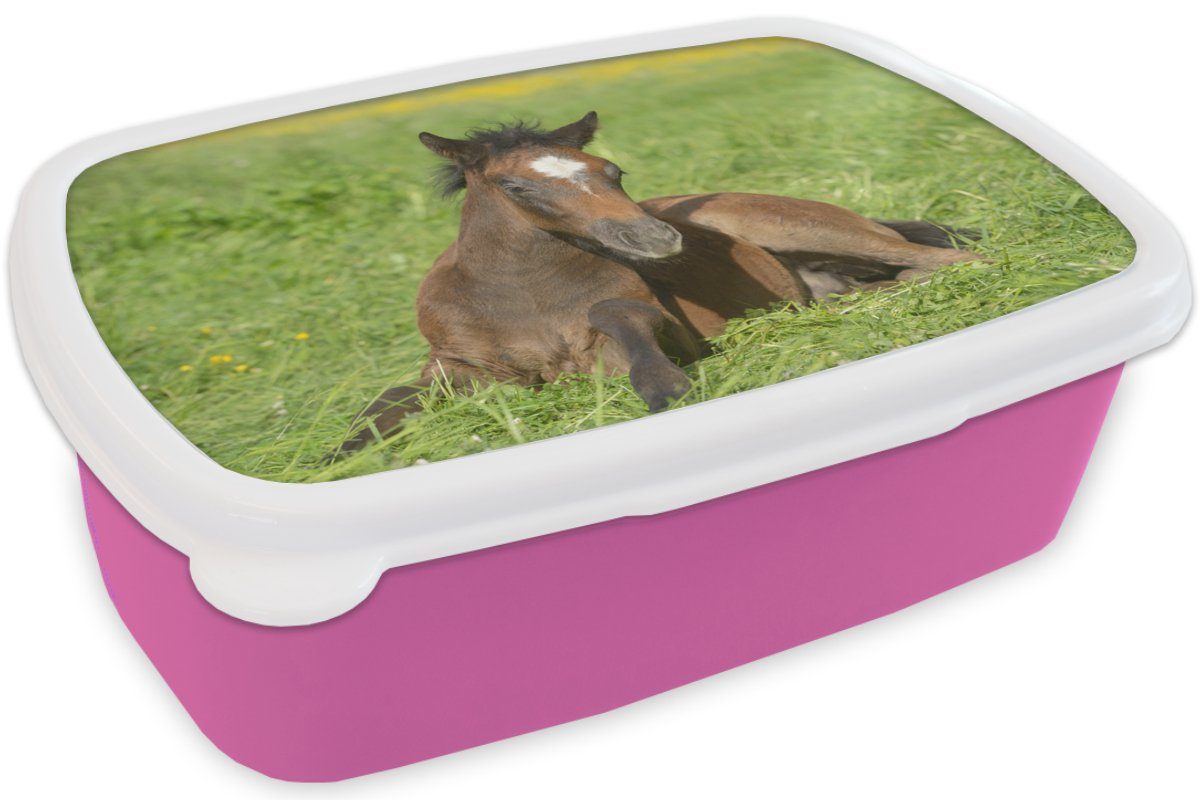 rosa Kunststoff Pferde Brotbox Gras, Mädchen, Lunchbox Snackbox, - Kinder, Brotdose - MuchoWow für Erwachsene, (2-tlg), Licht Kunststoff,