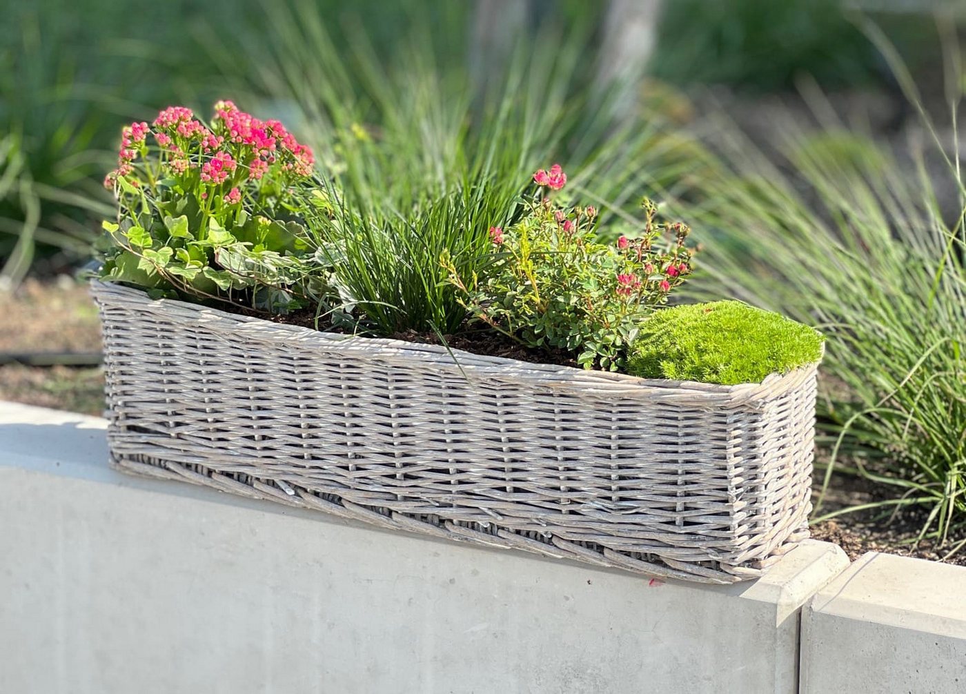 Thumbnail - Dekoleidenschaft Blumenkasten aus Rattan "Koboo Grey" 60 cm lang, grau, Balkonkasten, Pflanzkasten (1 St), Pflanzgefäß, ...