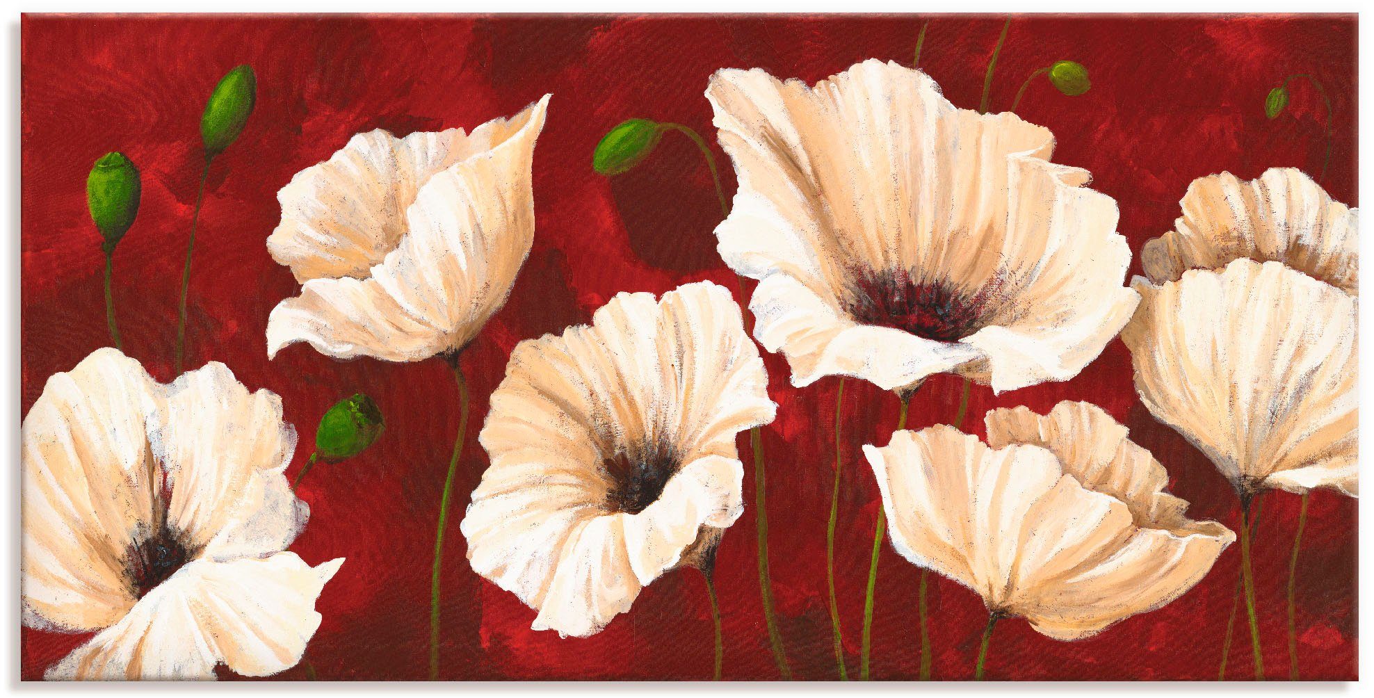 Artland Wandbild Weiße Mohnblumen vor rot, Blumen (1 St), als Leinwandbild, Poster in verschied. Größen