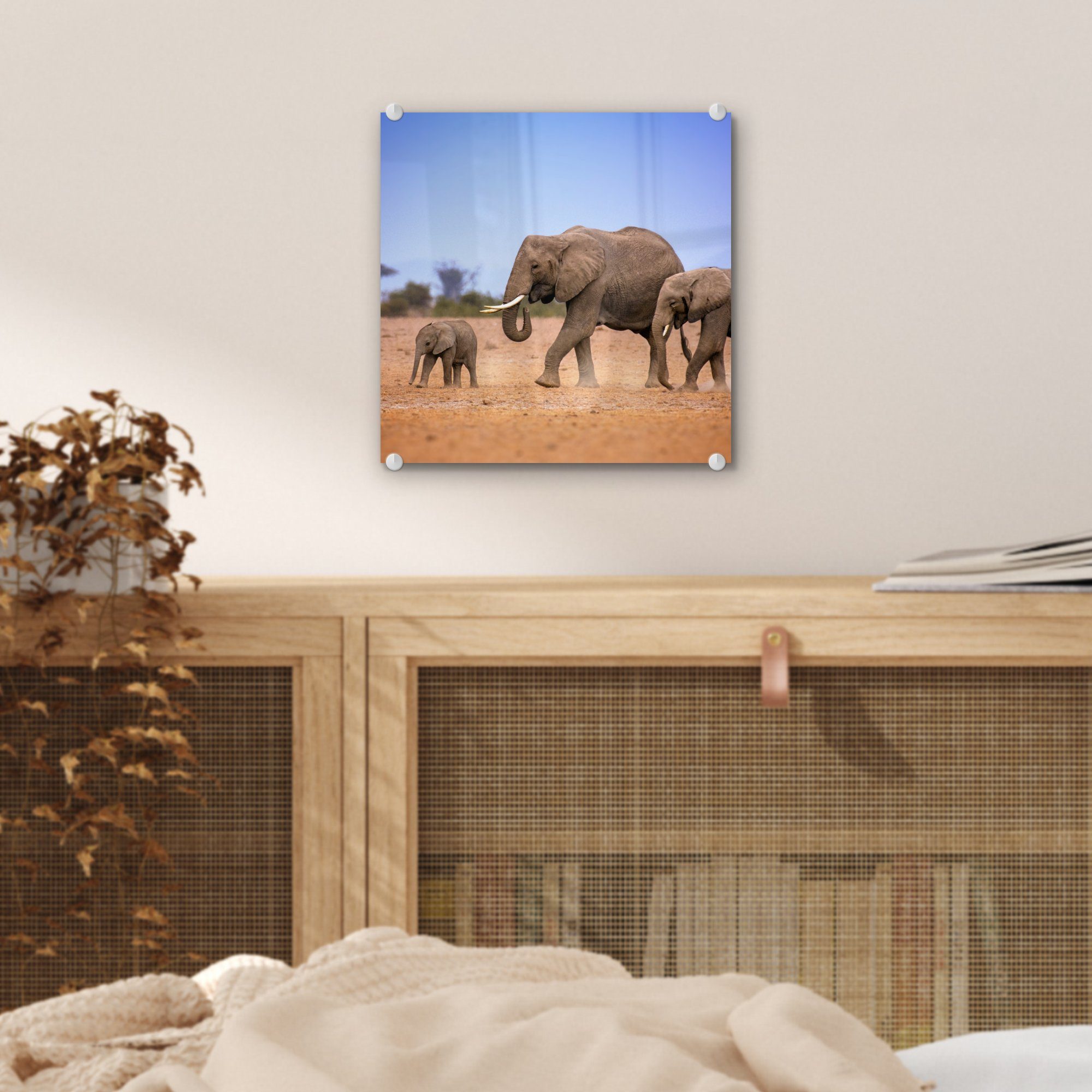 in Wandbild Acrylglasbild - mit (1 Foto ihrem Bilder Glasbilder - St), Wanddekoration Glas auf Kenia, - Baby Elefantenfamilie MuchoWow Glas auf