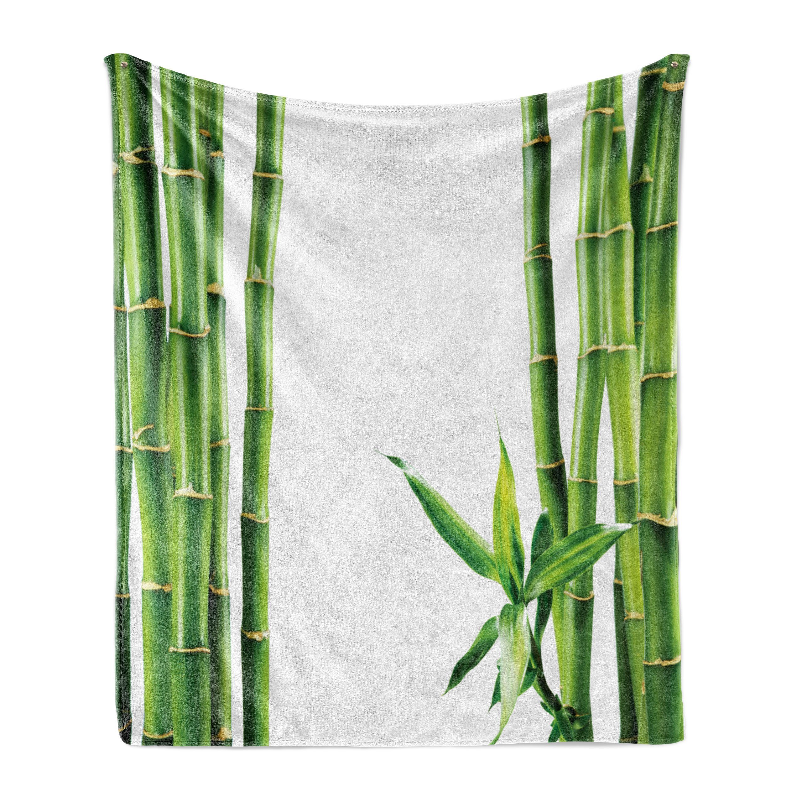 für Zweige Außenbereich, Plüsch Asiatisch Wohndecke den Innen- der Bambuspflanze und Gemütlicher Abakuhaus,