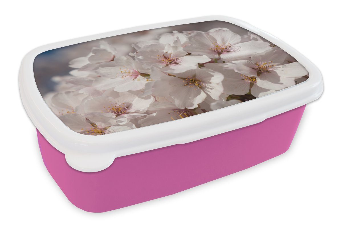 MuchoWow Brotdose rosa Blumen Blüte, Brotbox (2-tlg), Erwachsene, Kinder, Sonne Kunststoff Lunchbox - Snackbox, für Mädchen, Kunststoff, -