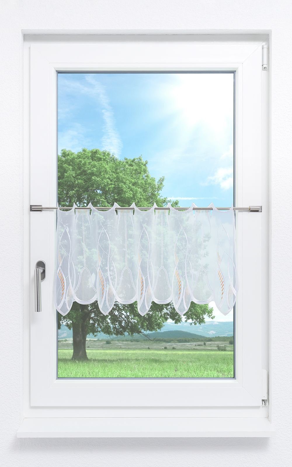 Plauener Spitze® Scheibengardine Melanie (1 St), transparent, HxB 35x48.6cm günstig online kaufen