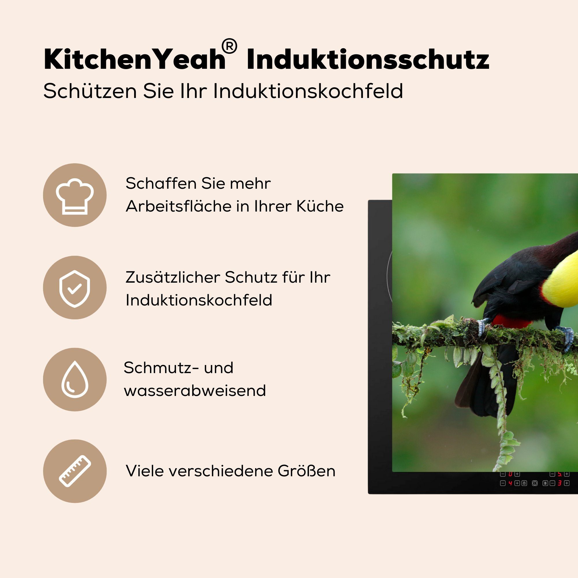 küche, 81x52 - - Herdblende-/Abdeckplatte Tukan - Vogel (1 Ceranfeldabdeckung Blätter, Induktionskochfeld cm, - Zweig Moos für die MuchoWow Schutz Vinyl, tlg),