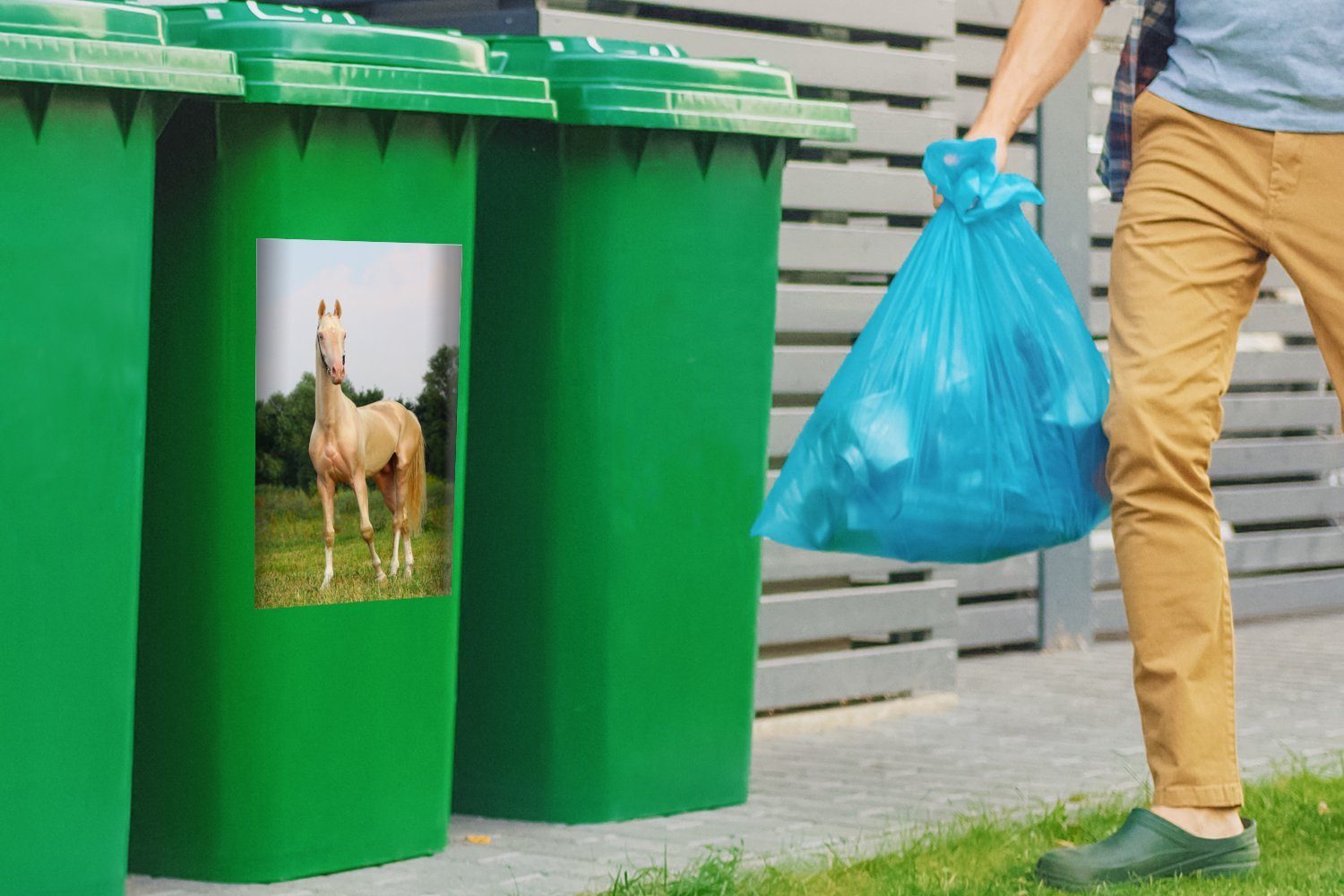 Gras - Mülltonne, Wandsticker - (1 Farben MuchoWow St), Container, Abfalbehälter Sticker, Pferde Mülleimer-aufkleber,