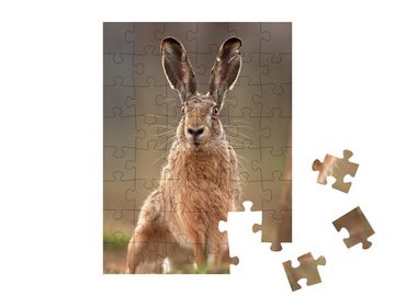 puzzleYOU Puzzle Europäischer Feldhase, 48 Puzzleteile, puzzleYOU-Kollektionen Hasen, Bauernhof-Tiere, Tiere in Wald & Gebirge