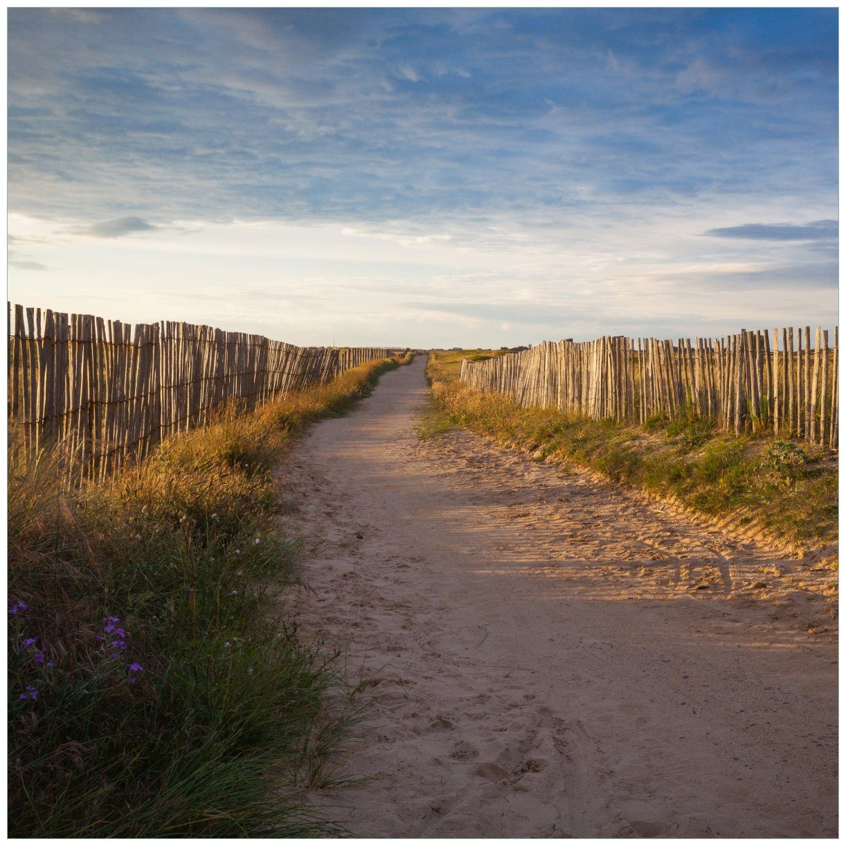 Wallario Tischplatte Sandweg an einem Strand in Frankreich, Bretagne (1 St), für Ikea Lack Tisch geeignet